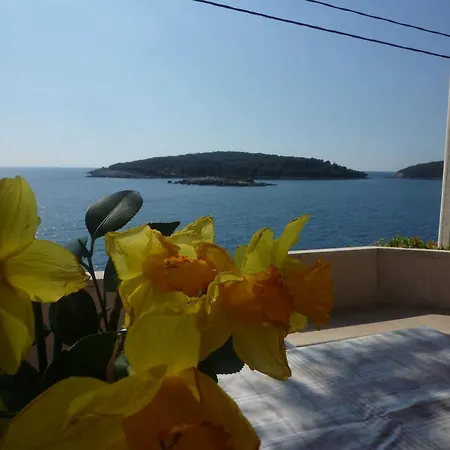 Komaic Apartament Molunat