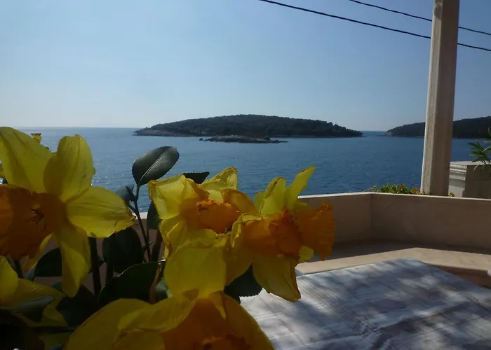 Komaic Διαμέρισμα Molunat